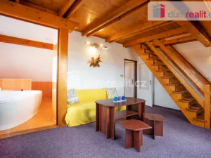 Prodej ubytování, Horní Planá - Hůrka, 1320 m2