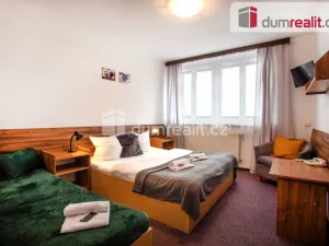 Prodej ubytování, Horní Planá - Hůrka, 1320 m2
