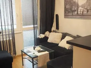 Pronájem bytu 2+kk, Strakonice, Obránců míru, 46 m2