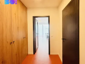 Pronájem bytu 2+kk, Ostrava, F. X. Riepla, 64 m2