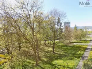 Prodej bytu 3+1, Teplice - Trnovany, Trnovanská, 71 m2