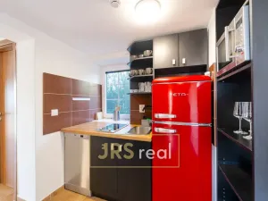 Prodej apartmánu, Strachotín, Sklepní, 160 m2