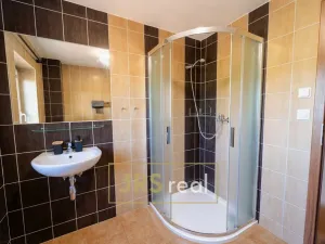 Prodej apartmánu, Strachotín, Sklepní, 160 m2