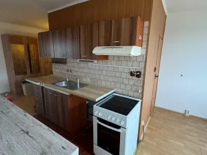 Pronájem bytu 2+1, Chomutov, Borová, 50 m2