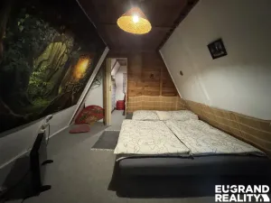 Prodej chaty, Nová Ves, 45 m2