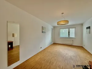 Pronájem bytu 2+kk, Brno - Lesná, Haškova, 80 m2