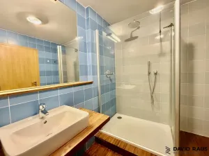 Pronájem bytu 2+kk, Brno - Lesná, Haškova, 80 m2