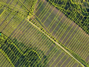 Prodej lesa, Silůvky, 462 m2