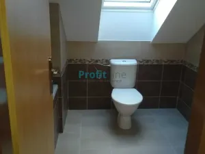 Pronájem bytu 1+kk, Rapotín, Družstevní, 53 m2