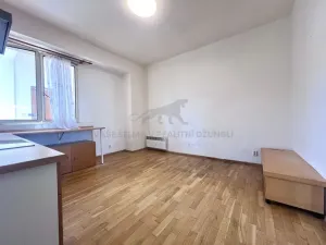 Pronájem bytu 3+kk, Praha - Žižkov, Chlumova, 80 m2