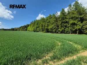 Prodej pozemku pro bydlení, Borová, 5776 m2