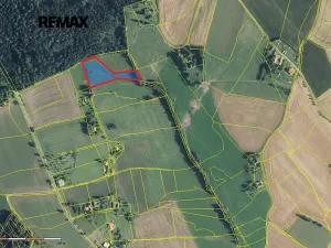 Prodej pozemku pro bydlení, Borová, 5776 m2