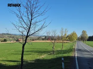 Prodej pozemku pro bydlení, Borová, 7429 m2