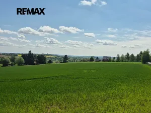 Prodej pozemku pro bydlení, Borová, 7429 m2