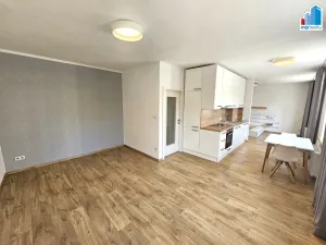 Pronájem bytu 1+kk, Plzeň - Východní Předměstí, Strnadova, 54 m2