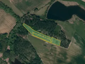 Prodej lesa, Třebíč, 14245 m2