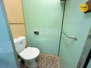 Prodej bytu 1+1, Třebíč, Družstevní, 32 m2