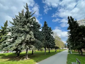 Prodej bytu 1+1, Hradec Králové, 34 m2