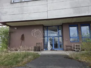 Pronájem obchodního prostoru, Přelouč, Jaselská, 5000 m2