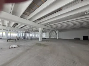 Pronájem obchodního prostoru, Přelouč, Jaselská, 5000 m2