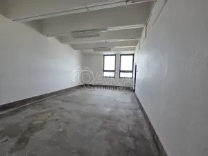 Pronájem obchodního prostoru, Přelouč, Jaselská, 5000 m2