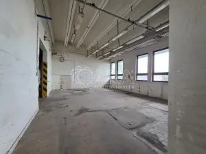 Pronájem obchodního prostoru, Přelouč, Jaselská, 5000 m2