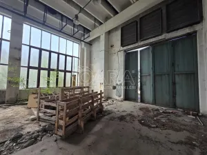 Pronájem obchodního prostoru, Přelouč, Jaselská, 5000 m2
