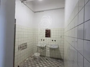 Pronájem obchodního prostoru, Přelouč, Jaselská, 5000 m2