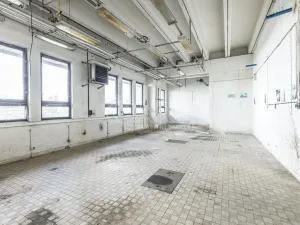 Pronájem obchodního prostoru, Přelouč, Jaselská, 10000 m2