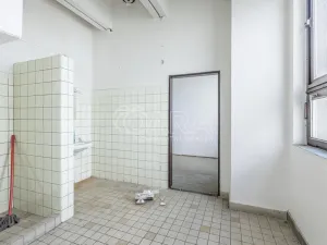 Pronájem obchodního prostoru, Přelouč, Jaselská, 10000 m2