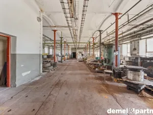 Prodej výrobních prostor, Světlá Hora - Světlá, 6500 m2