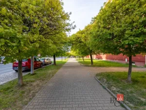 Pronájem bytu 3+kk, Plzeň - Východní Předměstí, Francouzská třída, 60 m2