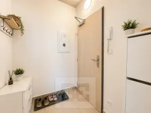 Pronájem bytu 1+kk, Brno, 38 m2