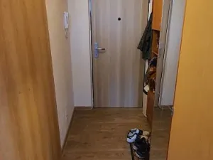 Pronájem bytu 1+1, Tachov, Želivského, 41 m2