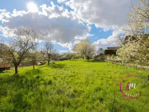 Prodej rodinného domu, Myslibořice, 48 m2