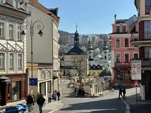 Prodej obchodního prostoru, Karlovy Vary, Zámecký vrch, 111 m2