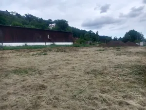 Pronájem zahrady, Plzeň, Pod Vinicemi, 1001 m2