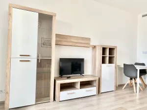 Pronájem bytu 1+kk, Praha - Vršovice, Petrohradská, 30 m2