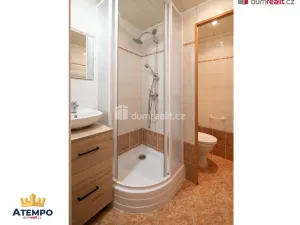 Pronájem bytu 1+1, České Budějovice - České Budějovice 3, J. Plachty, 38 m2