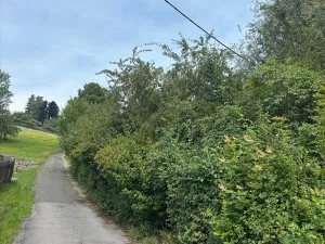 Prodej pozemku, Hrubá Skála - Doubravice, 2827 m2