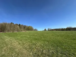 Prodej louky, Loužnice, 3786 m2