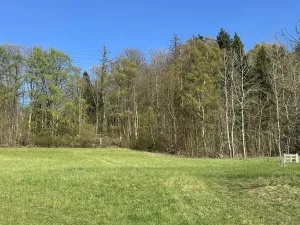 Prodej lesa, Loužnice, 5723 m2