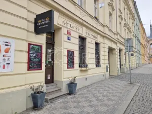Pronájem obchodního prostoru, Praha - Nusle, Táborská, 42 m2