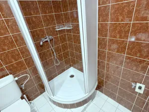 Pronájem bytu 1+1, Praha - Žižkov, Chelčického, 40 m2