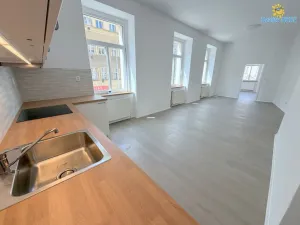 Pronájem bytu 4+kk, Praha - Žižkov, Chelčického, 118 m2