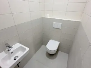 Pronájem bytu 4+kk, Praha - Žižkov, Chelčického, 118 m2