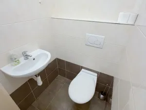 Pronájem bytu 2+1, Praha - Žižkov, Baranova, 87 m2