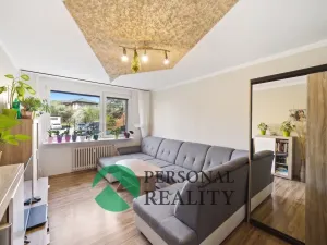 Prodej bytu 3+1, Libčice nad Vltavou, Pod Saharou, 62 m2