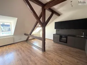 Pronájem bytu 2+kk, Chomutov, 28. října, 58 m2