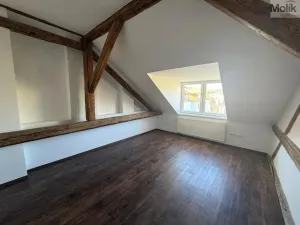 Pronájem bytu 2+kk, Chomutov, 28. října, 72 m2